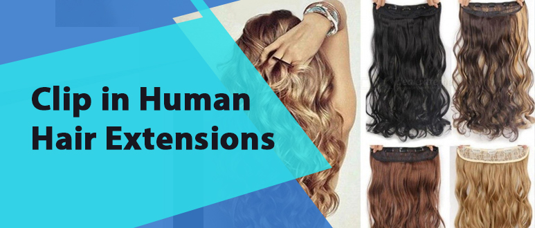 Clip in Human Hair Extensions